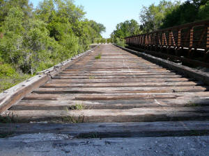 Inactive railroad tracks along the Legacy Trail