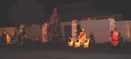 Thousands of Chrismas lights decorate the old nursery property in Osprey, FL